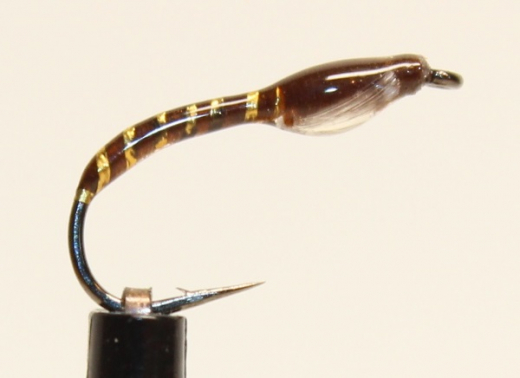 Nymphe Nr. 119 - "Braun-Gold-Weiß"
