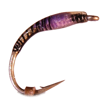 Nymphe Nr. 53 - "Hellviolett"