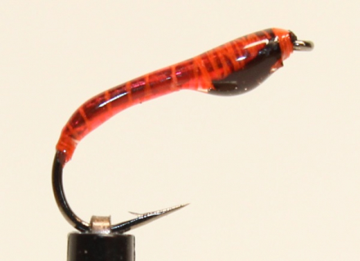 Nymphe Nr. 104 - "Bloodworm-Neonrot-Schwarz"