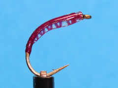 Nymphe Nr. 154 - "Brombeer"