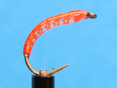 Nymphe Nr. 163 - "Neonorange"
