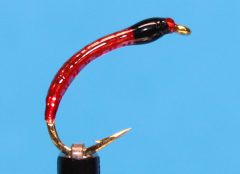 Nymphe Nr. 01B - "Bloodworm-Rot-Schwarz"