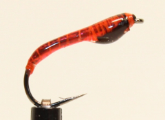Nymphe Nr. 104 - "Bloodworm-Neonrot-Schwarz"