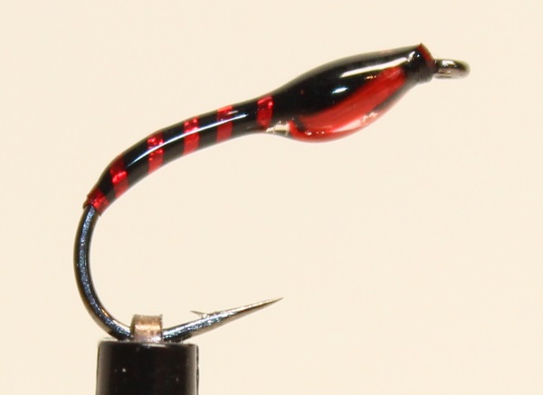 Nymphe schwarz-rotholo-rot